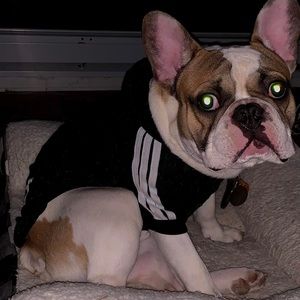 Meet your Posher, Brian